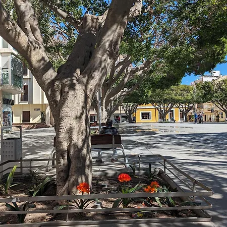 2 Bedroom Algorfa Townhouse With Pool